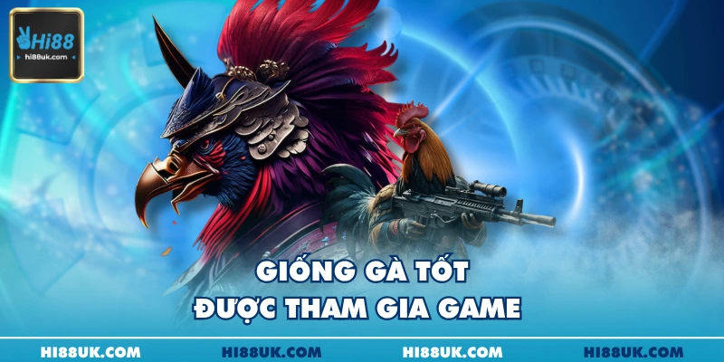 Giống gà tốt được tham gia game 